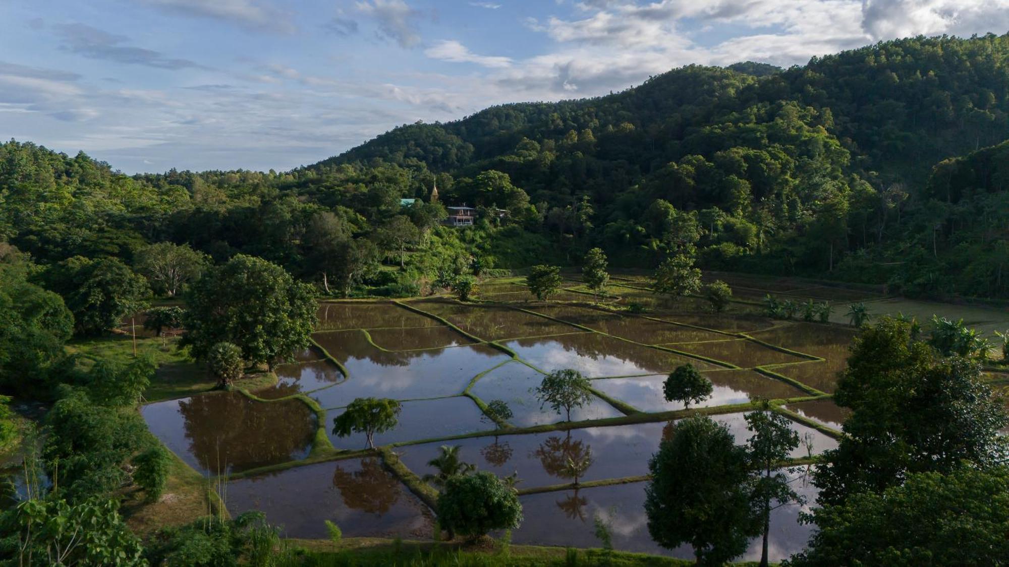 Sirin Farm Chiang Rai Hotel Екстериор снимка