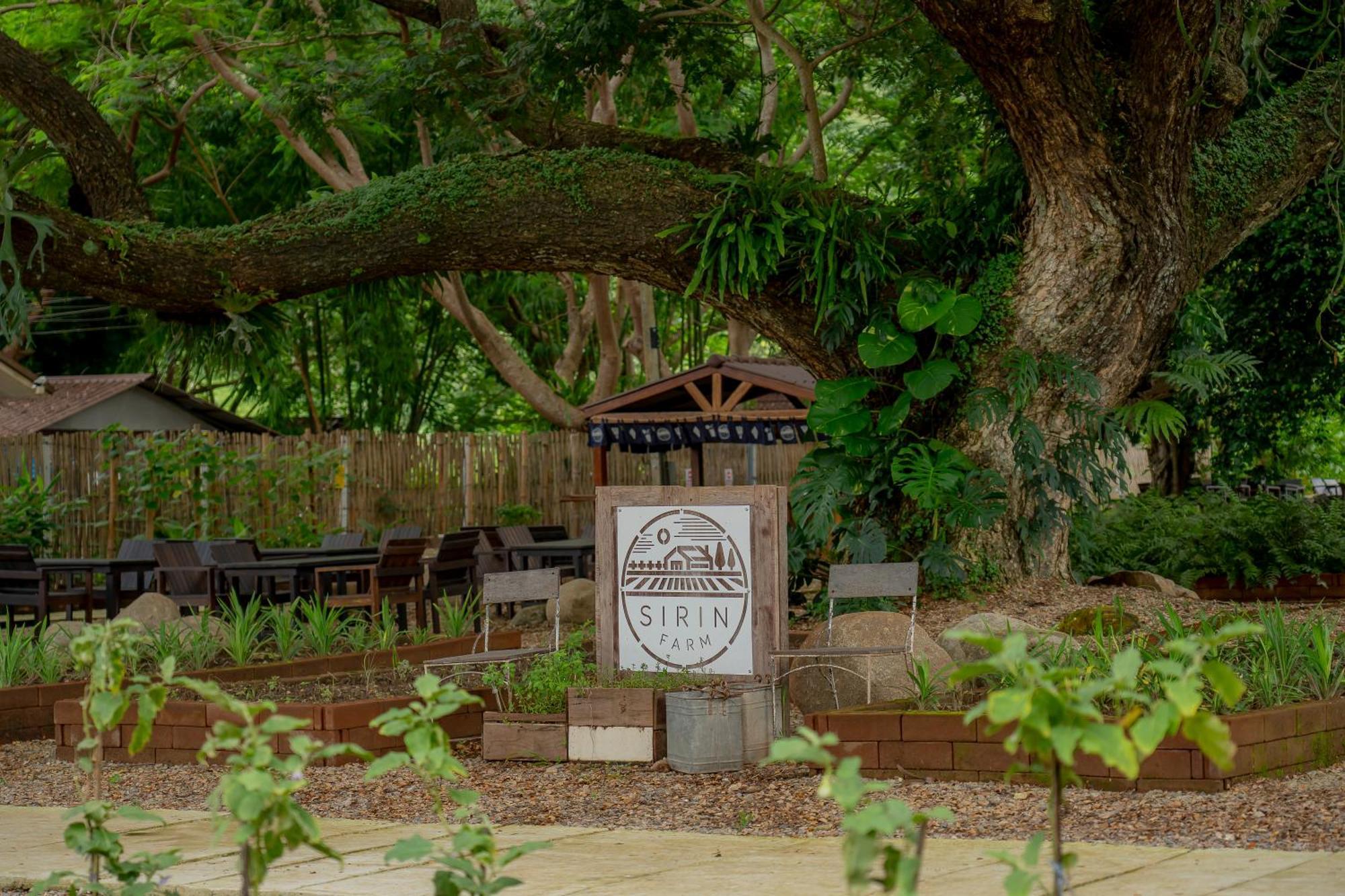 Sirin Farm Chiang Rai Hotel Екстериор снимка