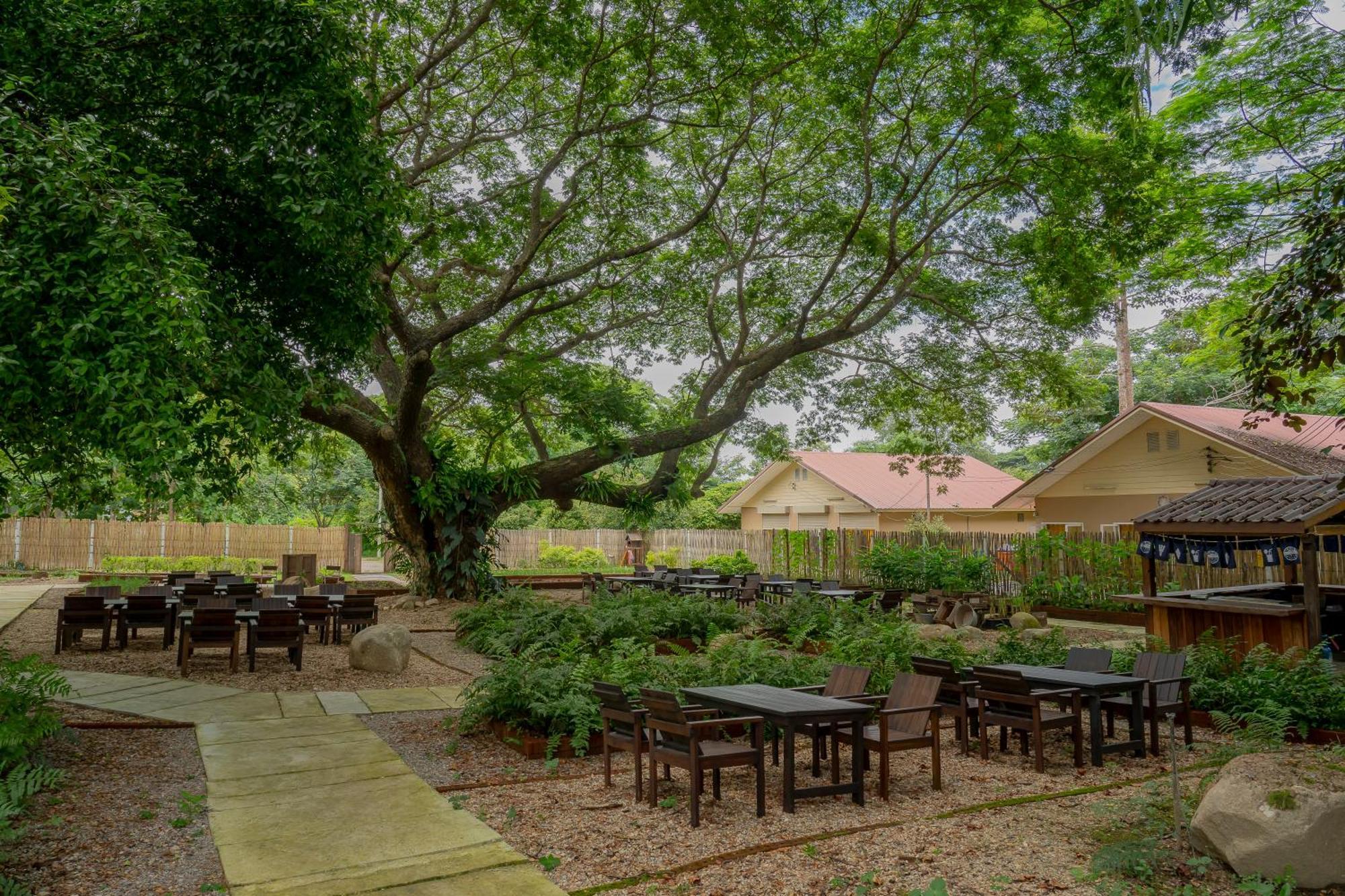 Sirin Farm Chiang Rai Hotel Екстериор снимка